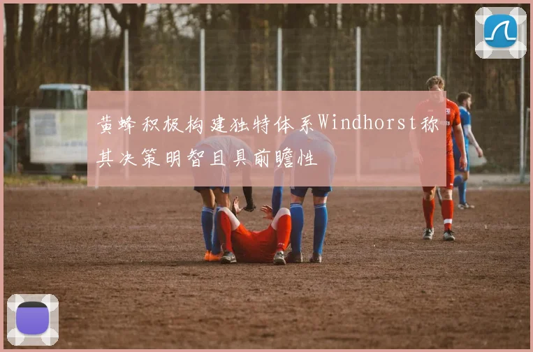 黄蜂积极构建独特体系Windhorst称其决策明智且具前瞻性